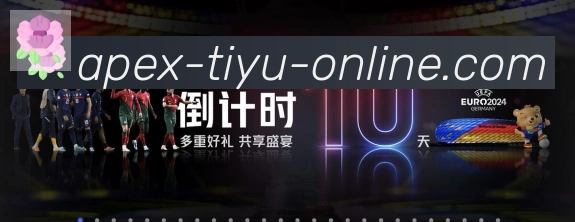 登录器